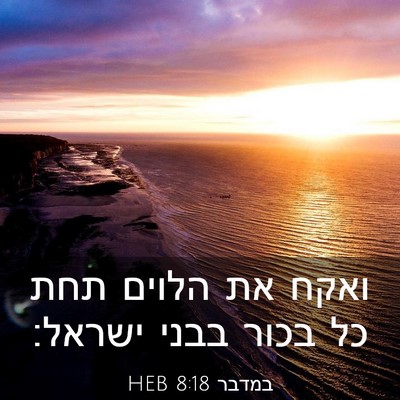 Picture 03 - במדבר 8:18 HEB - ואקח את הלוים תחת כל בכור - Bible Verse Picture