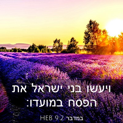 Picture 03 - במדבר 9:2 HEB - ויעשו בני ישראל את הפסח - Bible Verse Picture