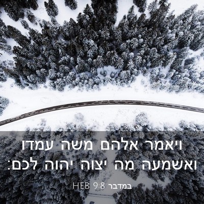 Picture 03 - במדבר 9:8 HEB - ויאמר אלהם משה עמדו ואשמעה - Bible Verse Picture