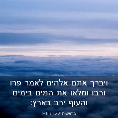 Picture 03 - בראשית 1:22 HEB - ויברך אתם אלהים לאמר פרו - Bible Verse Picture