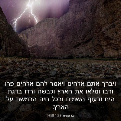 Picture 03 - בראשית 1:28 HEB - ויברך אתם אלהים ויאמר להם - Bible Verse Picture