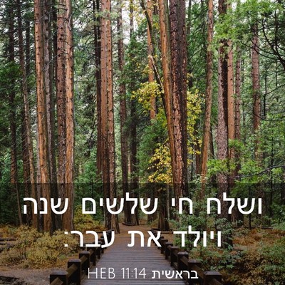 Picture 03 - בראשית 11:14 HEB - ושלח חי שלשים שנה ויולד את - Bible Verse Picture
