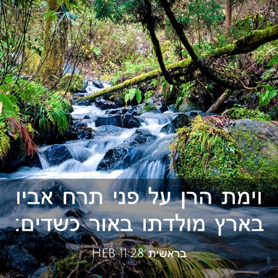 Picture 03 - בראשית 11:28 HEB - וימת הרן על פני תרח אביו - Bible Verse Picture