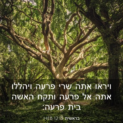 Picture 03 - בראשית 12:15 HEB - ויראו אתה שרי פרעה ויהללו - Bible Verse Picture