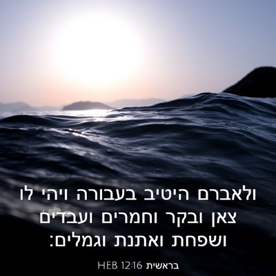 Picture 03 - בראשית 12:16 HEB - ולאברם היטיב בעבורה ויהי - Bible Verse Picture