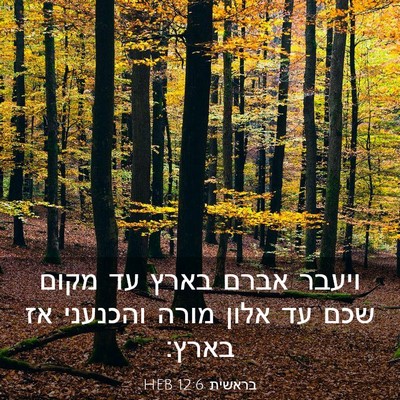 Picture 03 - בראשית 12:6 HEB - ויעבר אברם בארץ עד מקום שכם - Bible Verse Picture