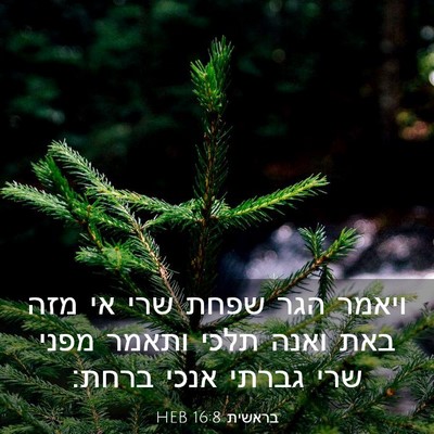 Picture 03 - בראשית 16:8 HEB - ויאמר הגר שפחת שרי אי מזה - Bible Verse Picture