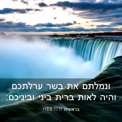 Picture 03 - בראשית 17:11 HEB - ונמלתם את בשר ערלתכם והיה - Bible Verse Picture