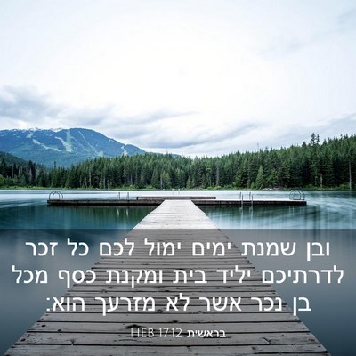 Picture 03 - בראשית 17:12 HEB - ובן שמנת ימים ימול לכם כל - Bible Verse Picture