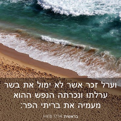Picture 03 - בראשית 17:14 HEB - וערל זכר אשר לא ימול את בשר - Bible Verse Picture