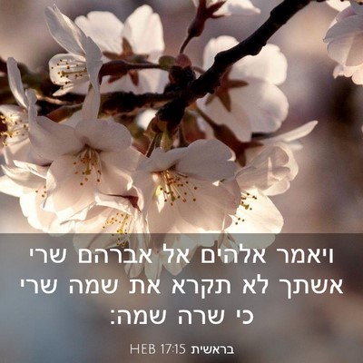 Picture 03 - בראשית 17:15 HEB - ויאמר אלהים אל אברהם שרי - Bible Verse Picture