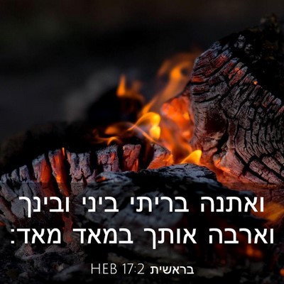 Picture 03 - בראשית 17:2 HEB - ואתנה בריתי ביני ובינך - Bible Verse Picture