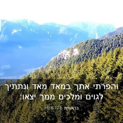 Picture 03 - בראשית 17:6 HEB - והפרתי אתך במאד מאד ונתתיך - Bible Verse Picture