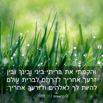 Picture 03 - בראשית 17:7 HEB - והקמתי את בריתי ביני ובינך - Bible Verse Picture