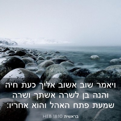 Picture 03 - בראשית 18:10 HEB - ויאמר שוב אשוב אליך כעת חיה - Bible Verse Picture