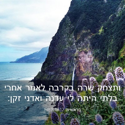 Picture 03 - בראשית 18:12 HEB - ותצחק שרה בקרבה לאמר אחרי - Bible Verse Picture
