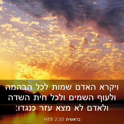 Picture 03 - בראשית 2:20 HEB - ויקרא האדם שמות לכל הבהמה - Bible Verse Picture