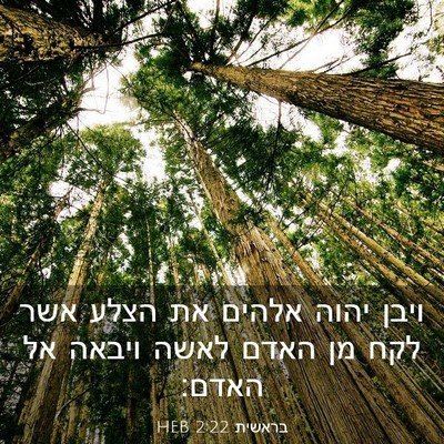 Picture 03 - בראשית 2:22 HEB - ויבן יהוה אלהים את הצלע אשר - Bible Verse Picture