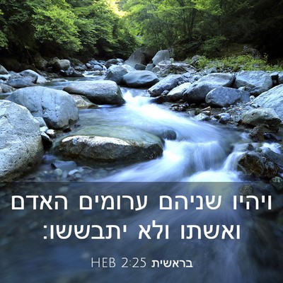 Picture 03 - בראשית 2:25 HEB - ויהיו שניהם ערומים האדם - Bible Verse Picture