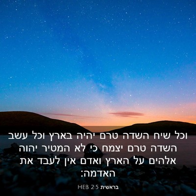 Picture 03 - בראשית 2:5 HEB - וכל שיח השדה טרם יהיה בארץ - Bible Verse Picture