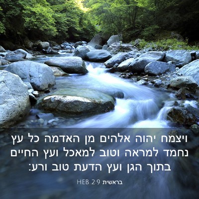 Picture 03 - בראשית 2:9 HEB - ויצמח יהוה אלהים מן האדמה - Bible Verse Picture