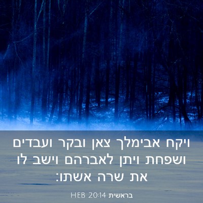 Picture 03 - בראשית 20:14 HEB - ויקח אבימלך צאן ובקר - Bible Verse Picture