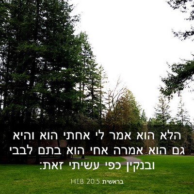 Picture 03 - בראשית 20:5 HEB - הלא הוא אמר לי אחתי הוא - Bible Verse Picture