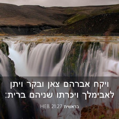 Picture 03 - בראשית 21:27 HEB - ויקח אברהם צאן ובקר ויתן - Bible Verse Picture