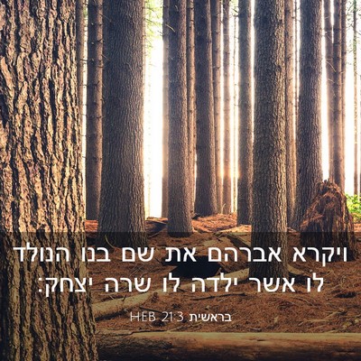 Picture 03 - בראשית 21:3 HEB - ויקרא אברהם את שם בנו הנולד - Bible Verse Picture