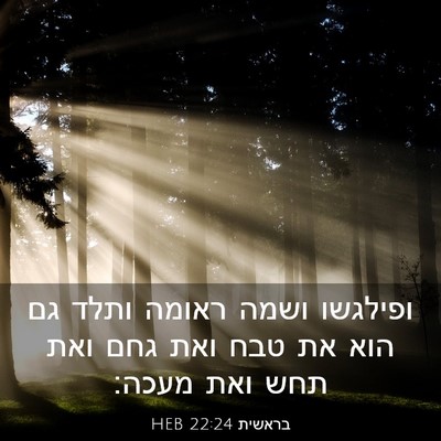 Picture 03 - בראשית 22:24 HEB - ופילגשו ושמה ראומה ותלד גם - Bible Verse Picture