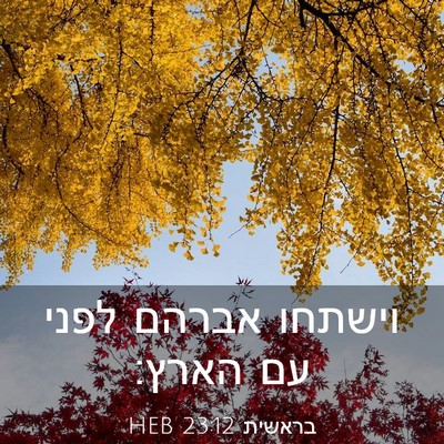 Picture 03 - בראשית 23:12 HEB - וישתחו אברהם לפני עם - Bible Verse Picture