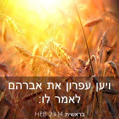 Picture 03 - בראשית 23:14 HEB - ויען עפרון את אברהם לאמר - Bible Verse Picture