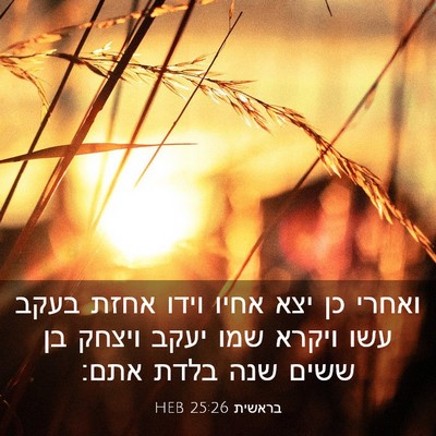 Picture 03 - בראשית 25:26 HEB - ואחרי כן יצא אחיו וידו אחזת - Bible Verse Picture