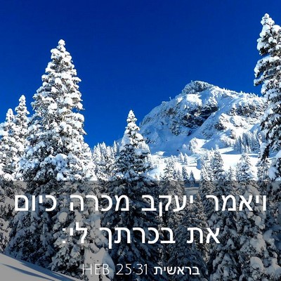 Picture 03 - בראשית 25:31 HEB - ויאמר יעקב מכרה כיום את - Bible Verse Picture