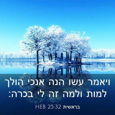 Picture 03 - בראשית 25:32 HEB - ויאמר עשו הנה אנכי הולך - Bible Verse Picture