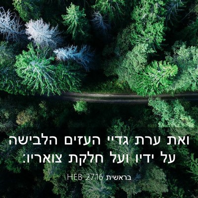 Picture 03 - בראשית 27:16 HEB - ואת ערת גדיי העזים הלבישה - Bible Verse Picture