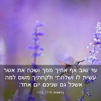 Picture 03 - בראשית 27:45 HEB - עד שוב אף אחיך ממך ושכח את - Bible Verse Picture