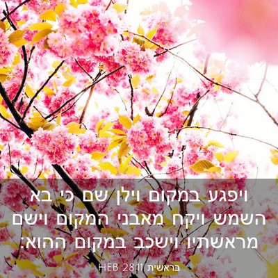 Picture 03 - בראשית 28:11 HEB - ויפגע במקום וילן שם כי בא - Bible Verse Picture