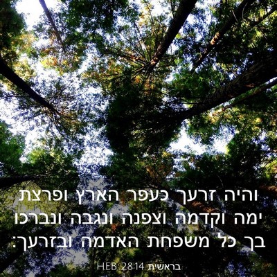 Picture 03 - בראשית 28:14 HEB - והיה זרעך כעפר הארץ ופרצת - Bible Verse Picture