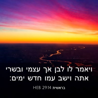 Picture 03 - בראשית 29:14 HEB - ויאמר לו לבן אך עצמי ובשרי - Bible Verse Picture
