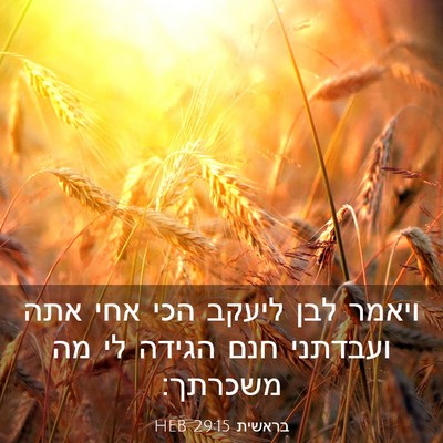 Picture 03 - בראשית 29:15 HEB - ויאמר לבן ליעקב הכי אחי אתה - Bible Verse Picture