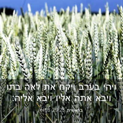 Picture 03 - בראשית 29:23 HEB - ויהי בערב ויקח את לאה בתו - Bible Verse Picture