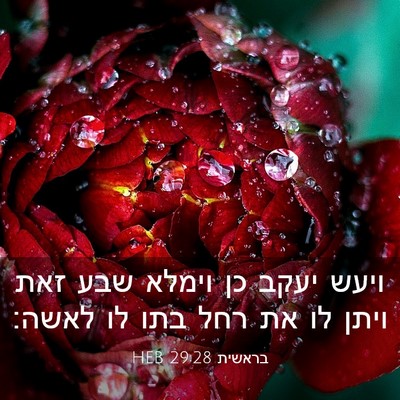 Picture 03 - בראשית 29:28 HEB - ויעש יעקב כן וימלא שבע זאת - Bible Verse Picture