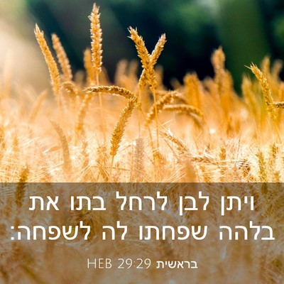 Picture 03 - בראשית 29:29 HEB - ויתן לבן לרחל בתו את בלהה - Bible Verse Picture