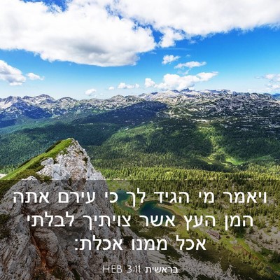 Picture 03 - בראשית 3:11 HEB - ויאמר מי הגיד לך כי עירם - Bible Verse Picture