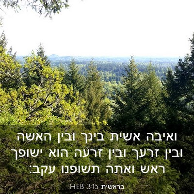 Picture 03 - בראשית 3:15 HEB - ואיבה אשית בינך ובין האשה - Bible Verse Picture