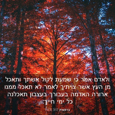 Picture 03 - בראשית 3:17 HEB - ולאדם אמר כי שמעת לקול אשתך - Bible Verse Picture