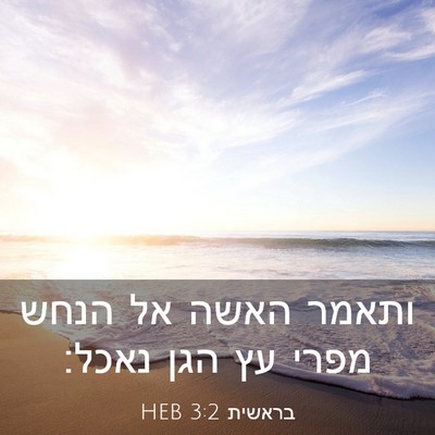 Picture 03 - בראשית 3:2 HEB - ותאמר האשה אל הנחש מפרי עץ - Bible Verse Picture