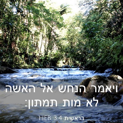 Picture 03 - בראשית 3:4 HEB - ויאמר הנחש אל האשה לא מות - Bible Verse Picture