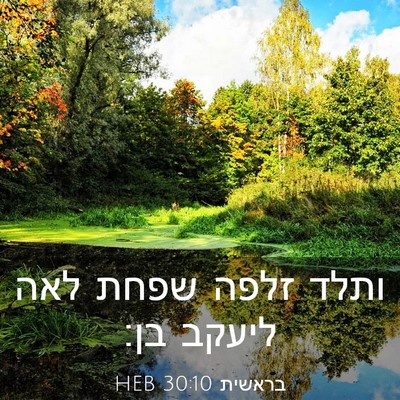 Picture 03 - בראשית 30:10 HEB - ותלד זלפה שפחת לאה ליעקב - Bible Verse Picture